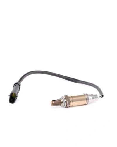 حساس شكمان - ميجان 2005 2 - UK