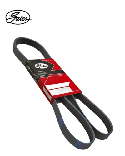 سير مجموعة لوجان1 - سانديرو/ستيب واي 5pk1750 - جيتس